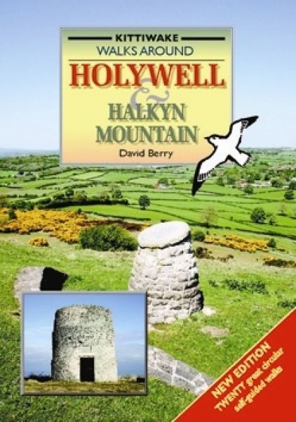 Walking Around Holywell and Halkyn Mountain - David Berry