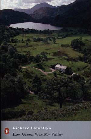 How Green was My Valley - Richard Llewellyn - Siop y Pethe