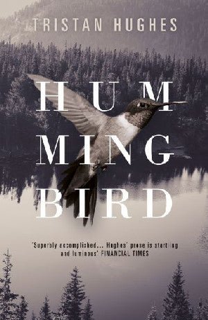 Hummingbird - Tristan Hughes - Siop y Pethe
