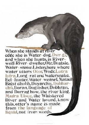 Jackie Morris Poster: Names of the Otter, The - Jackie Morris - Siop y Pethe