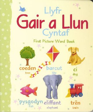 Llyfr Gair a Llun Cyntaf/First Picture Word Book - Siop y Pethe