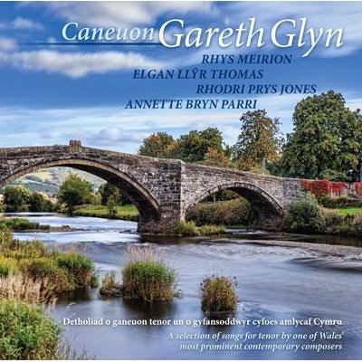 Various Artists - Caneuon Gareth Glyn - Siop y Pethe