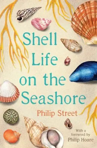 Shell Life of the Seashore