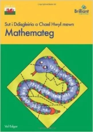 Sut i Ddisgleirio a Chael Hwyl Mewn Mathemateg