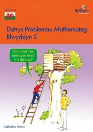 Datrys Problemau Mathemateg – Blwyddyn 5