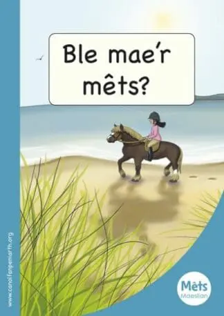 Mêts Maesllan: Ble Mae’r Mêts?