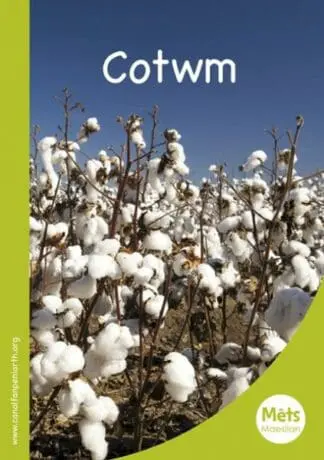 Mêts Maesllan: Cotwm