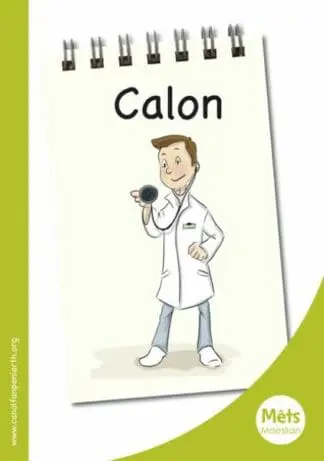 Mêts Maesllan: Calon