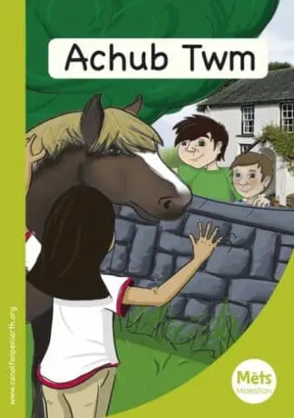 Mêts Maesllan: Achub Twm