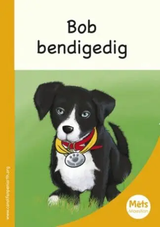 Mêts Maesllan: Bob Bendigedig