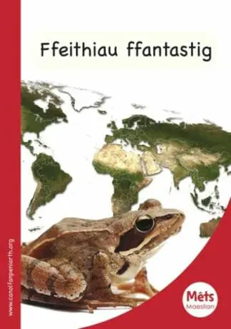 Mêts Maesllan: Ffeithiau Ffantastig