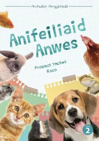 Cyfres Archwilio’r Amgylchedd: Anifeiliaid Anwes