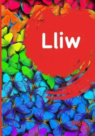 Mêts Maesllan 2 – Lliw