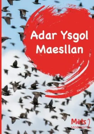Mêts Maesllan 2 – Adar Ysgol Maesllan