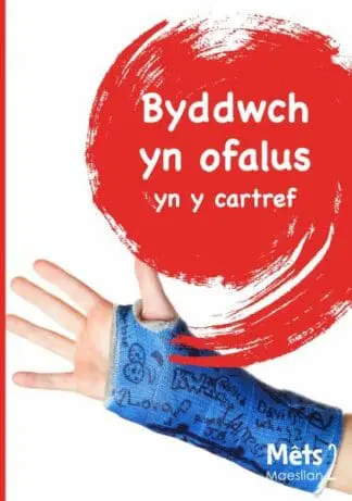 Mêts Maesllan 2 – Byddwch yn Ofalus yn y Cartref