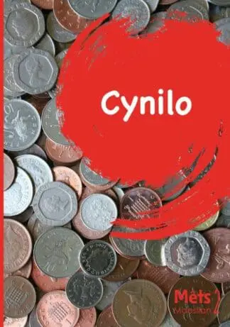 Mêts Maesllan 2 – Cynilo