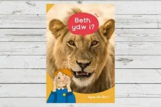 Dyna Chi Dric: Beth Ydw I?