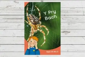 Dyna Chi Dric: Y Pry Bach