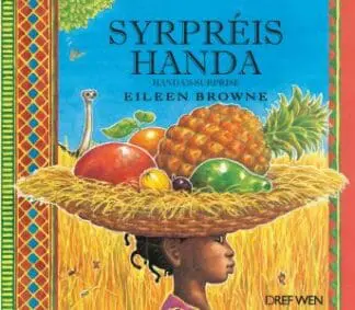 Syrpréis Handa / Handa’s Surprise