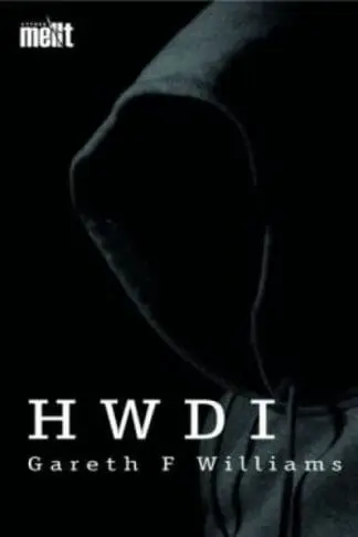 Cyfres Mellt: Hwdi (Pecyn o 15)