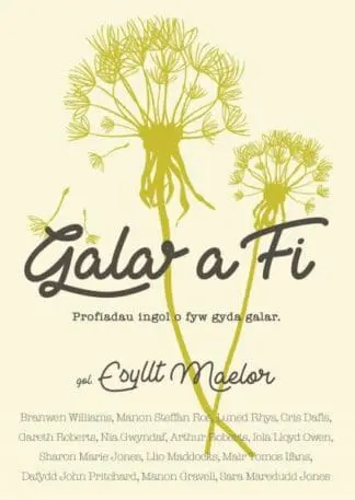 Galar a Fi