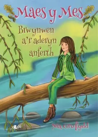 Cyfres Maes y Mes: Brwynwen a’r Aderyn Anferth