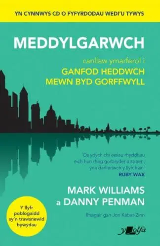 Darllen yn Well: Meddylgarwch – Canllaw Ymarferol i Ganfod Heddwch Mewn Byd Gorffwyll