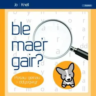 Ble Mae’r Gair? Posau Geiriau i Ddysgwyr