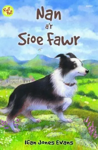 Cyfres Roli Poli: Nan a’r Sioe Fawr