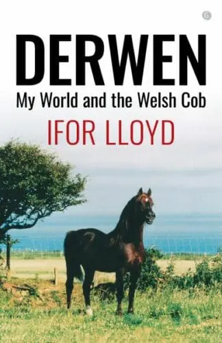 Derwen – My World and the Welsh Cob