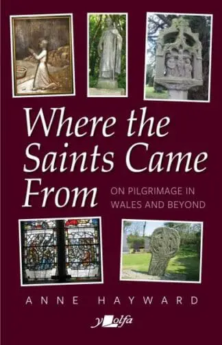 Where the Saints Came from – On Pilgrimage in Wales and Beyond