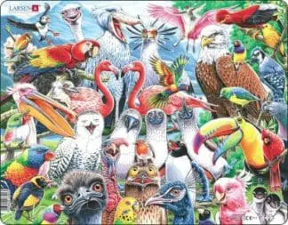 Jig-so Adar Hapus o Bob Rhan o’r Byd / Cheerful Birds From All Over the World Jigsaw