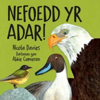 Nefoedd yr Adar!