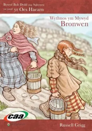 Bywyd Bob Dydd yng Nghymru yn yr Oes Haearn