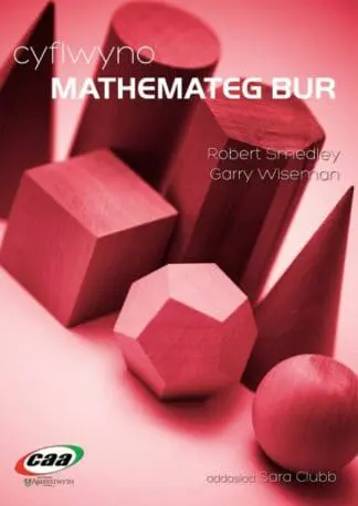 Cyflwyno Mathemateg Bur