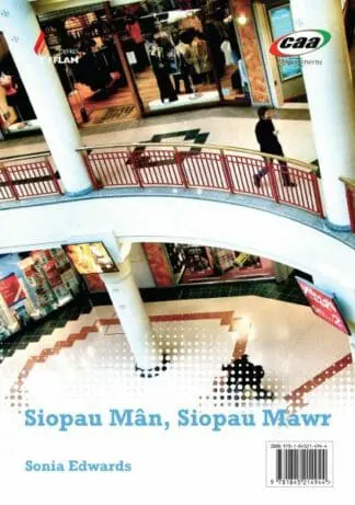 Cyfres y Fflam: Siopau Mân, Siopau Mawr / Angel