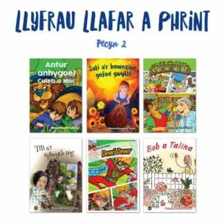 Llyfrau Llafar a Phrint – Pecyn 2