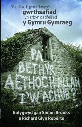 Pa Beth yr Aethoch Allan i’w Achub