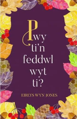 Pwy Ti’n Feddwl Wyt Ti?