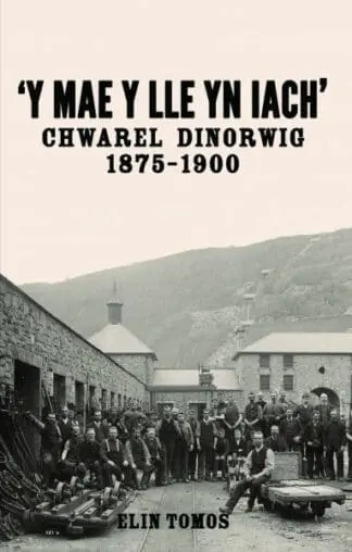 ‘Y Mae y Lle yn Iach’ – Chwarel Dinorwig 1875-1900
