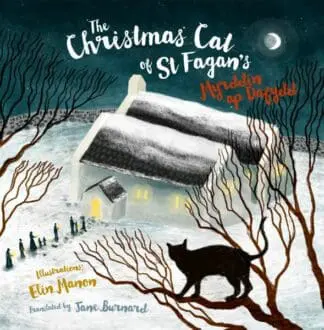 The Christmas Cat at St Fagan’s