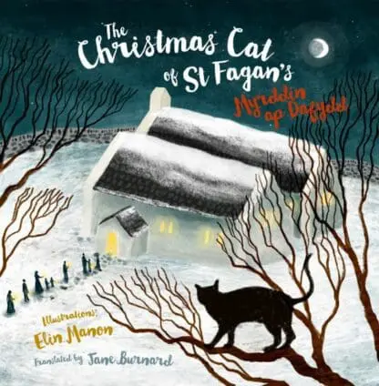 The Christmas Cat at St Fagan’s