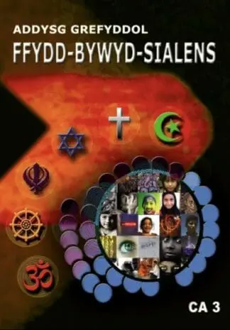 Ffydd Bywyd Sialens – Addysg Grefyddol, Cyfnod Allweddol 3 (DVD)
