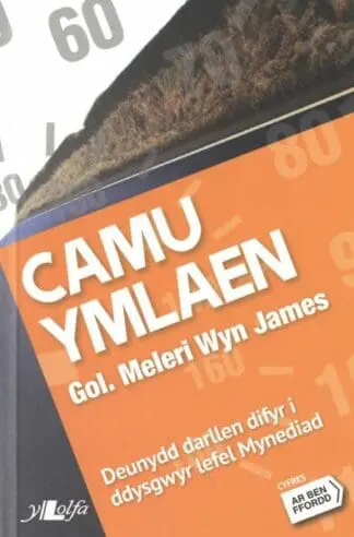 Cyfres ar Ben Ffordd: Camu Ymlaen – Lefel 1 Mynediad