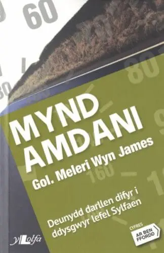Cyfres ar Ben Ffordd: Mynd Amdani – Lefel 2 Sylfaen