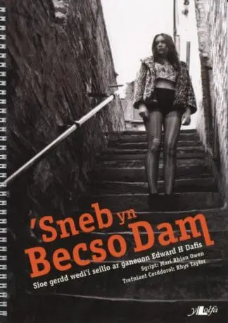 ‘Sneb yn Becso Dam