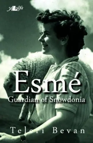 Esmé – Guardian of Snowdonia