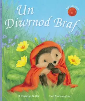 Cyfres Draenog Bach: Un Diwrnod Braf