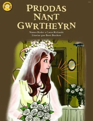 Priodas Nant Gwrtheyrn – Llyfr Mawr yn Cynnwys CD