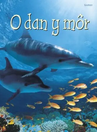 Cyfres Dechrau Da: O dan y Môr